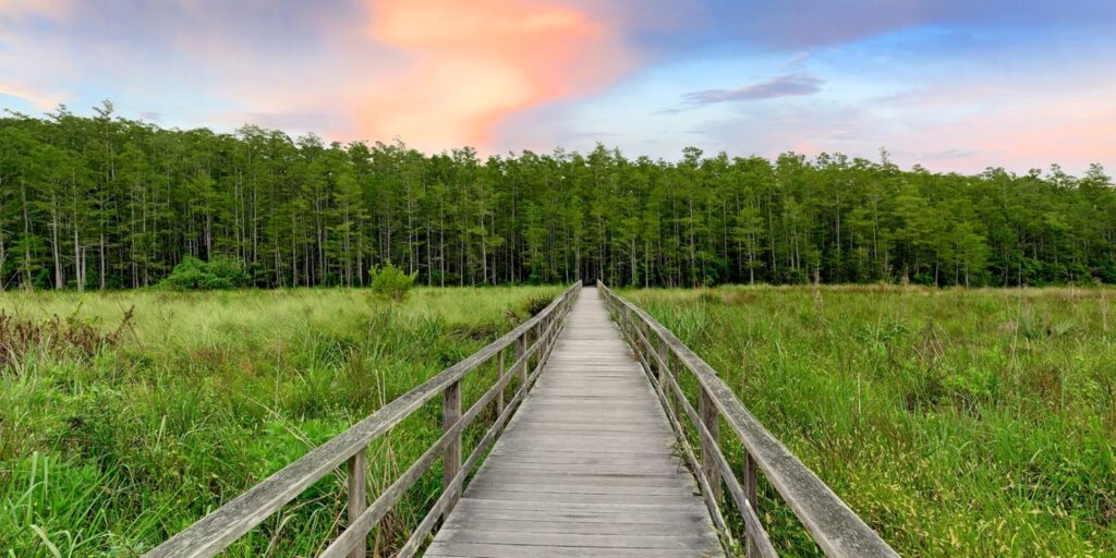 Audubon Society Sues Over Kingston Development Near Corkscrew Swamp