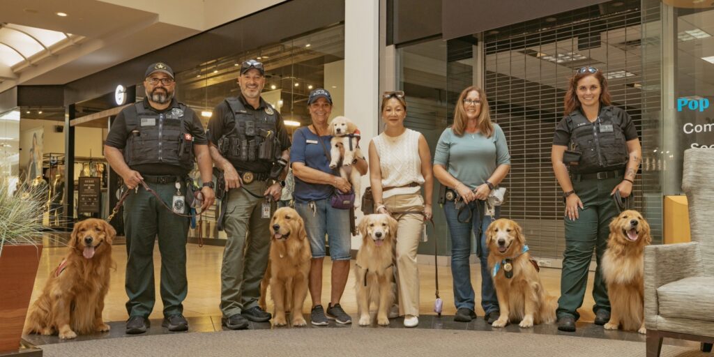 Crisis Care Canine™ Team Trains at Coastland Center Mall, Brings Smiles to Shoppers