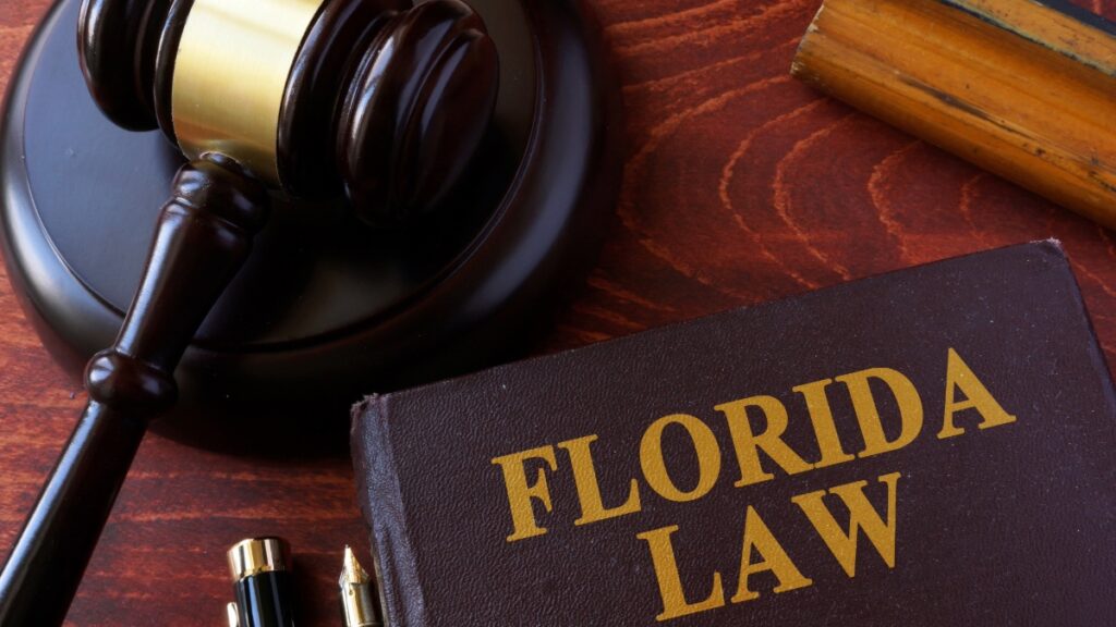 Major Changes Ahead: Nearly 30 New Florida Laws Go Into Effect Next Week