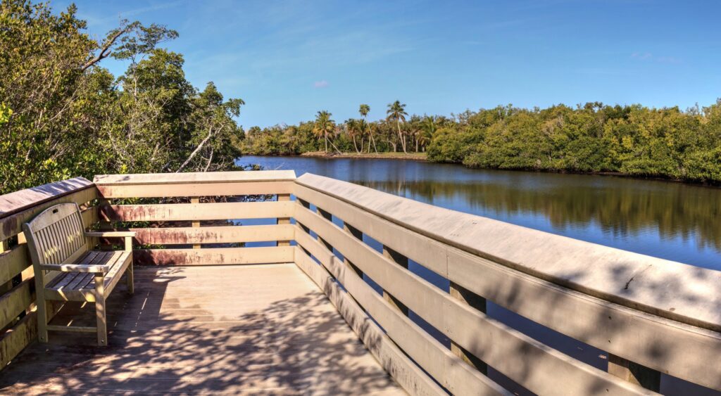 Affordable Housing Planned Near Rookery Bay Sparks Interest and Debate