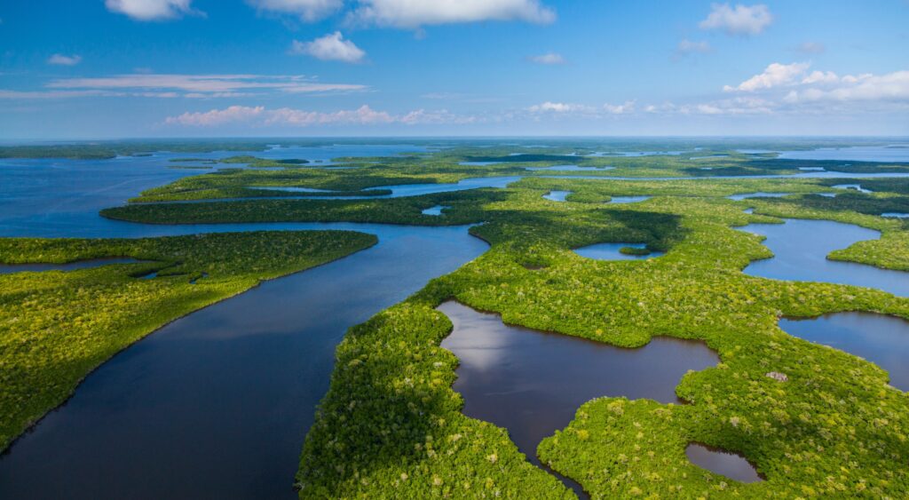 Everglades National Park: America’s Vast Tropical Wilderness