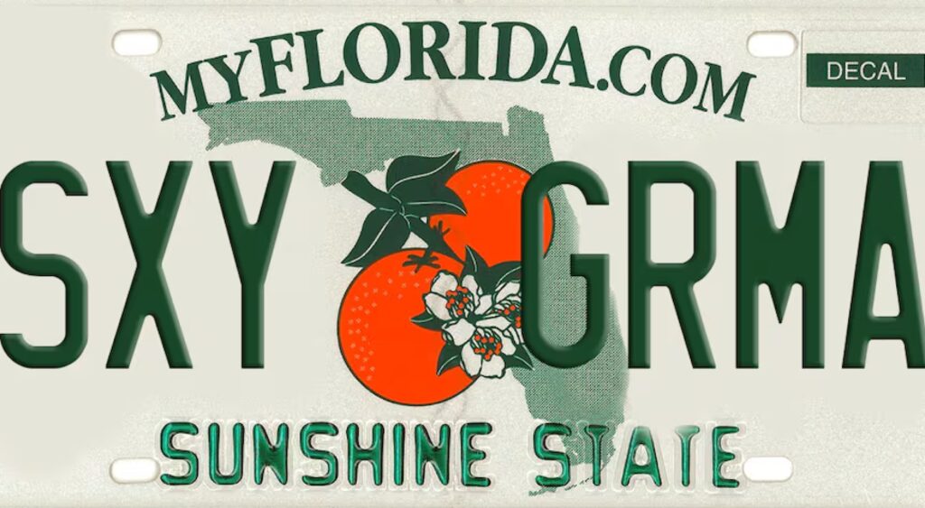 Florida Declares War on License Plate Filth: State Purifies Highways from “Obscene” Plates Like ‘LIL DIK’ and ‘HAWK TUAH