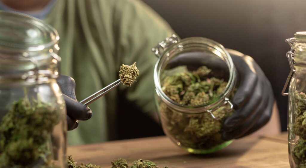 Florida’s High Hopes Go Up in Bureaucratic Smoke