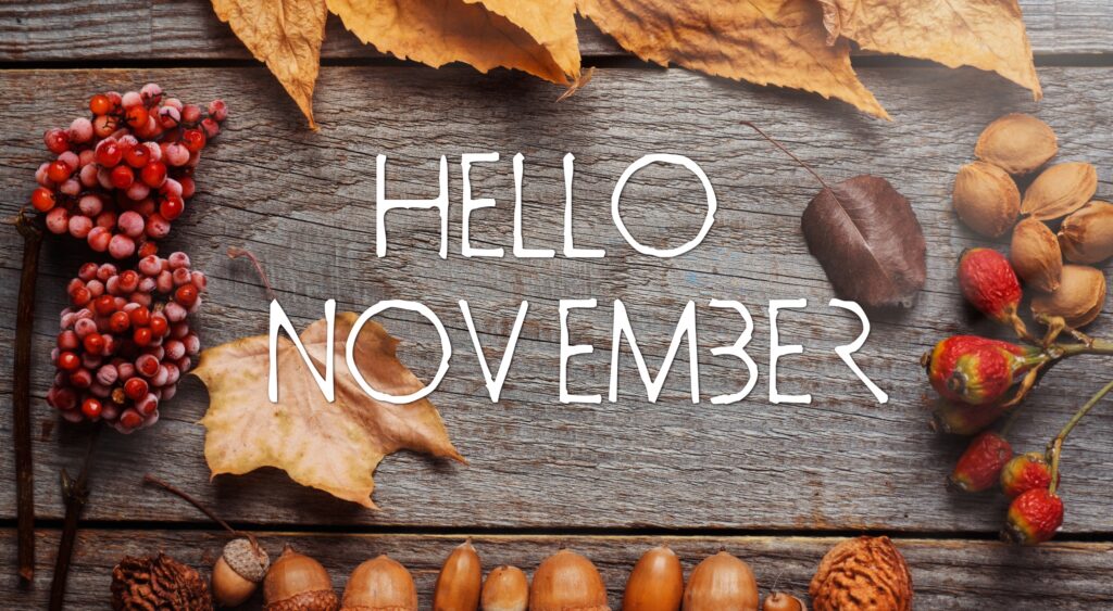 Local Events & Attractions on Marco Island in November