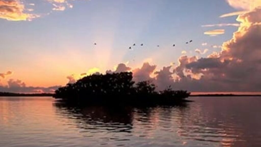 Rookery Bay Environmental Learning Center