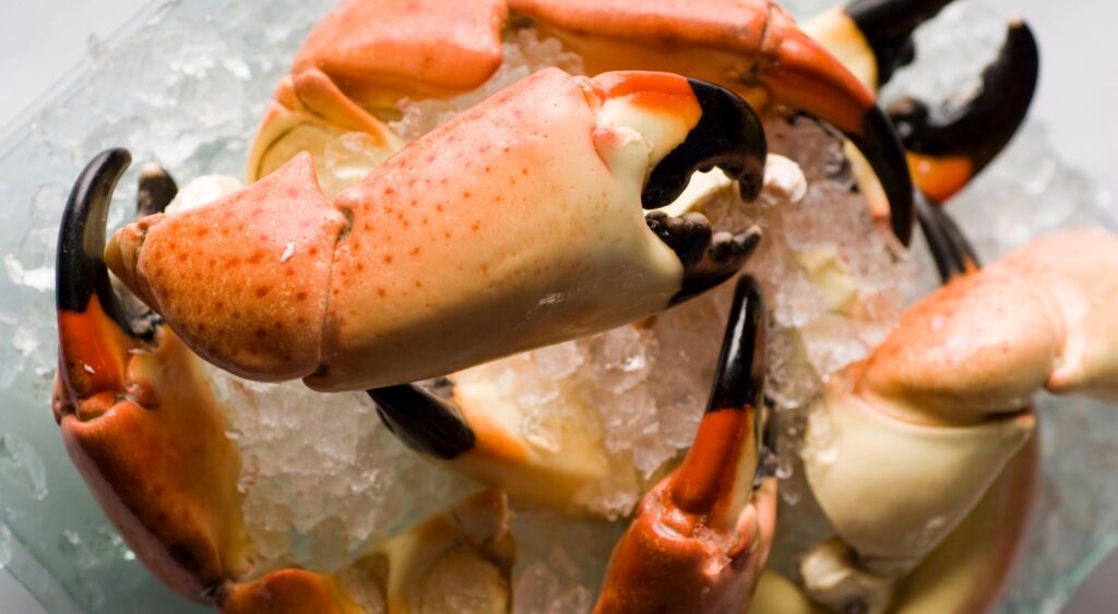 Seven Local Spots to Crack Open Stone Crab Claws in Naples
