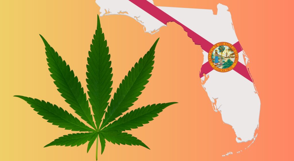 "The High Court": Florida’s Supreme Showdown Over Recreational Weed