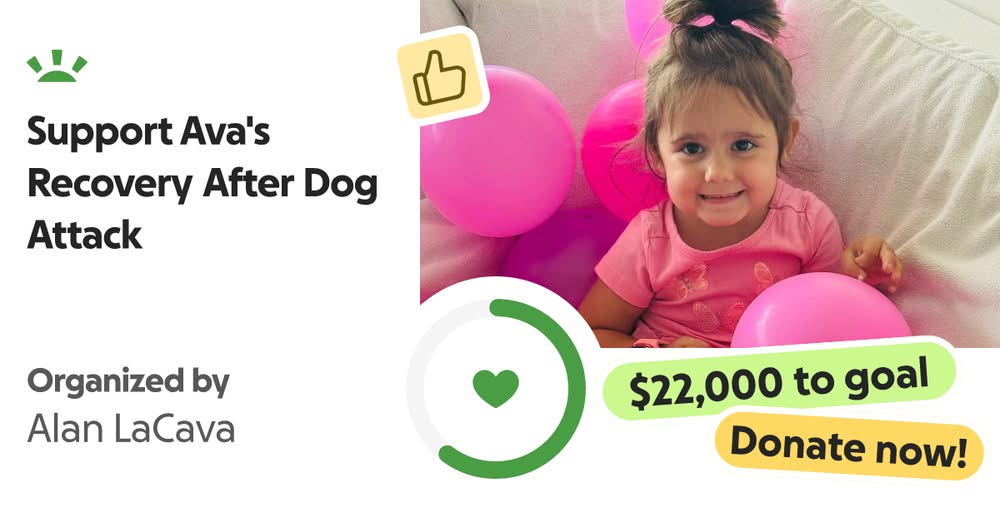 3-Year-Old Girl Seriously Injured in Dog Attack on Marco Island