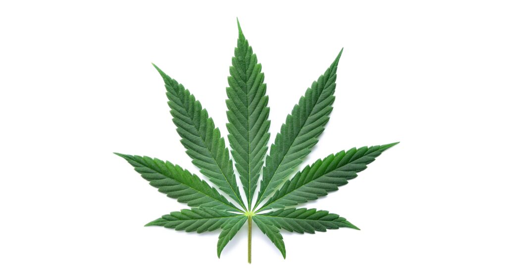 Judge Backs DeSantis, Marijuana Legalization Effort Takes a Big Ol’ Hit