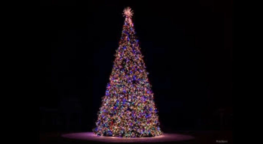 Marco Island to Shine Bright: Annual Tree Lighting Set for December 6, 2025