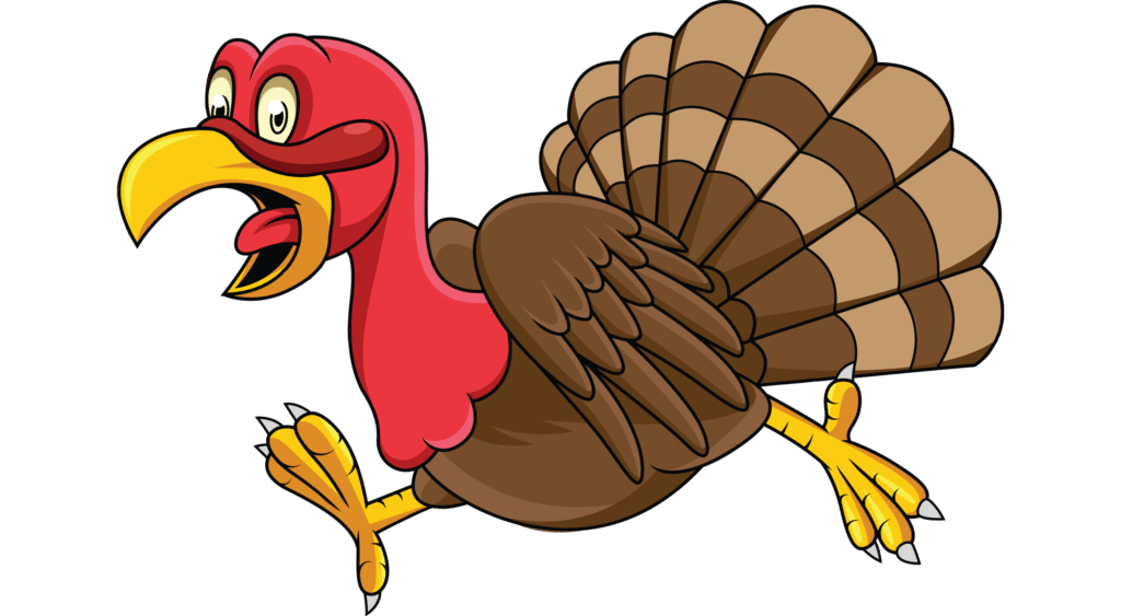 Turkey Tourism Takes Flight in Florida: Wild Birds Now More Booked Than Beach Resorts