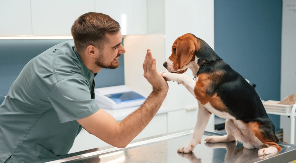 Low-Cost Pet Vaccine Clinic