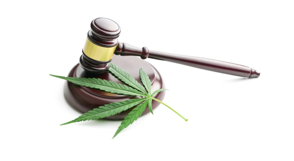 Florida vs. The Signatures: A Prestigious Ballet of Bureaucracy and Bud