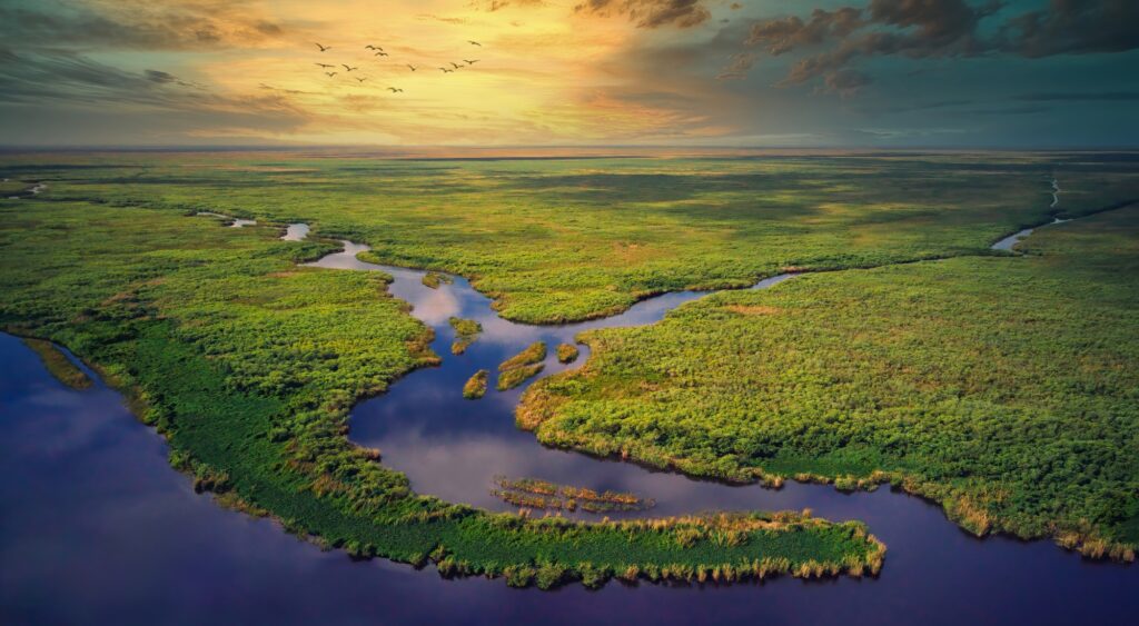 A legal showdown is looming in Florida this week, as environmental groups take their fight over the controversial Everglades detention centre—dubbed “Alligator Alcatraz”—into federal court.