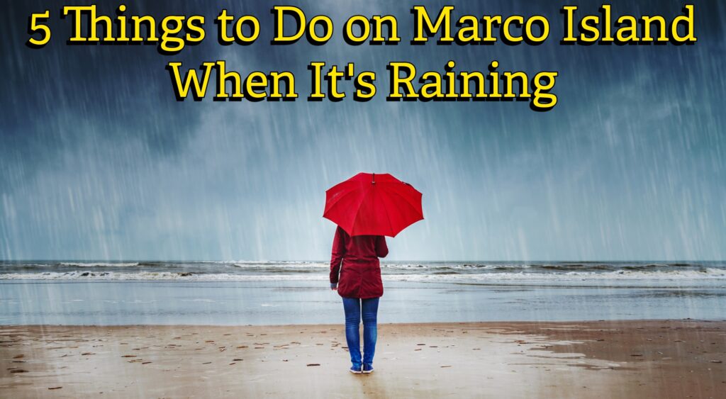 5 Things to Do on Marco Island When It's Raining
