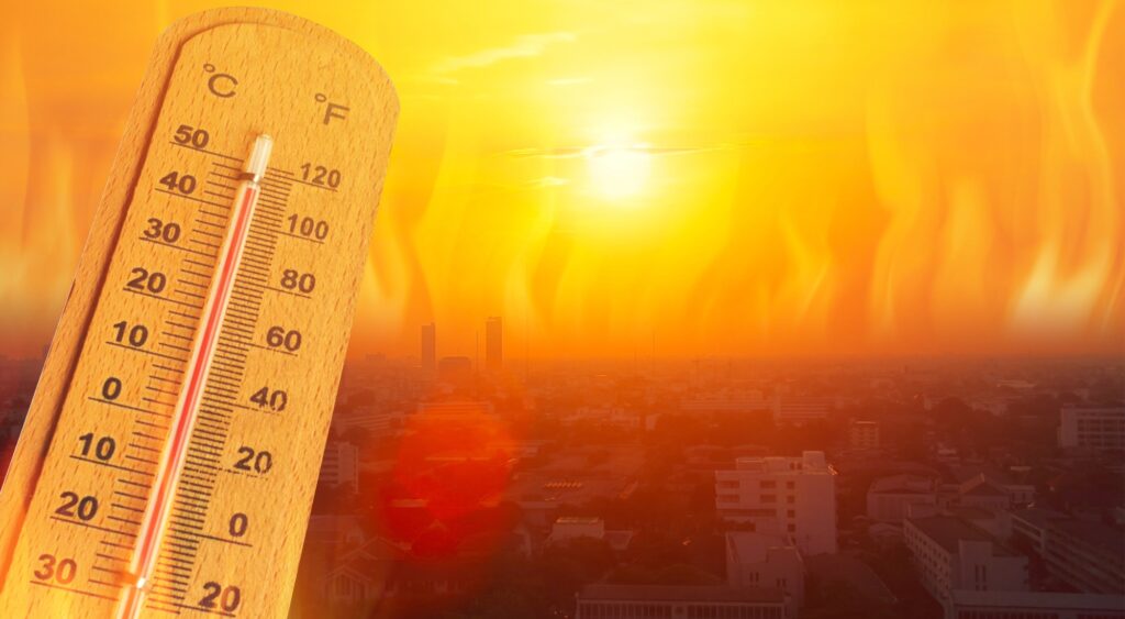 Collier County’s Latest Luxury Experience: Being Slowly Roasted Outdoors