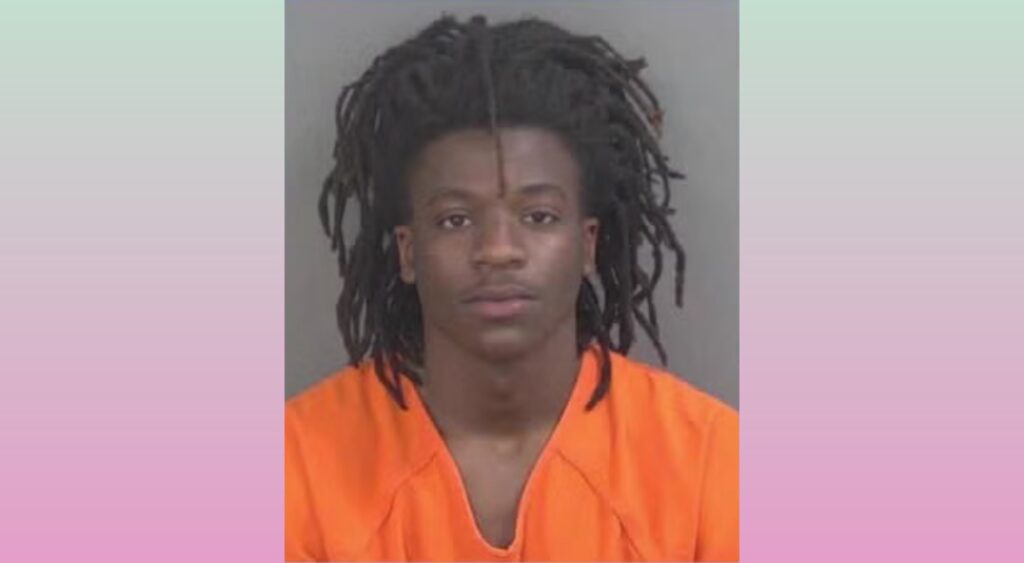 Naples Teen, 18, Arrested After Police Discover Marijuana, THC Vapes and Fake IDs at Seagate Beach