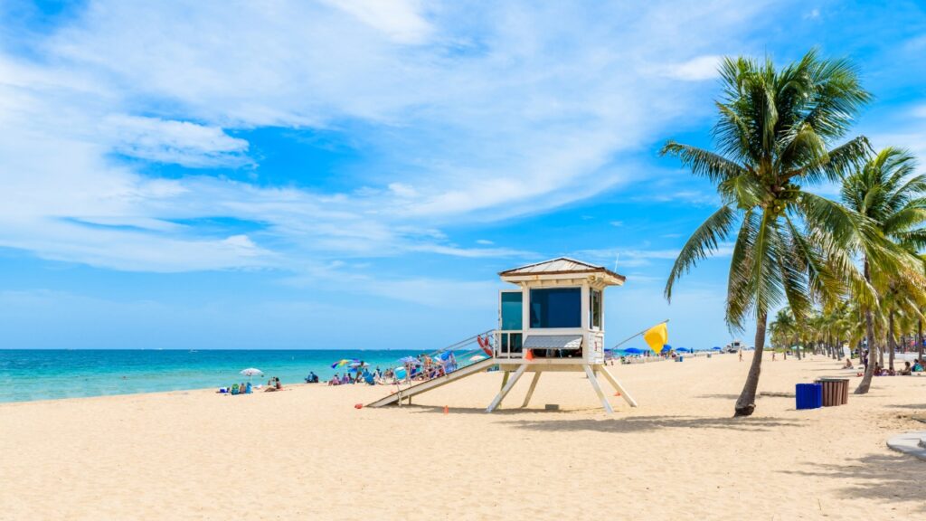 Tourist Attacked by Shark Off Florida Coast as Summer Beach Crowds Face Ocean Safety Warning