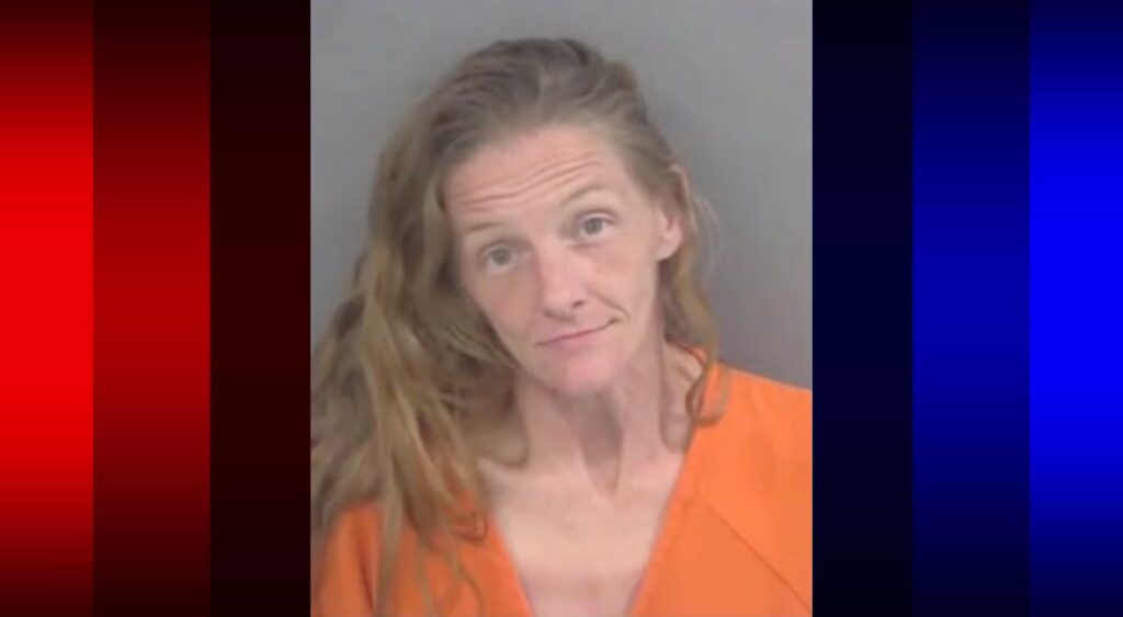Woman Runs Into Pond to Escape Deputies After Rattlesnake Hammock Road Chase, CCSO Says