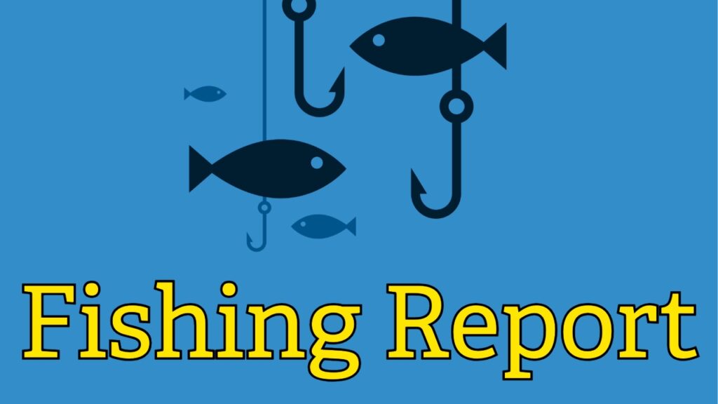 Marco Island Outdoors & Fishing Report